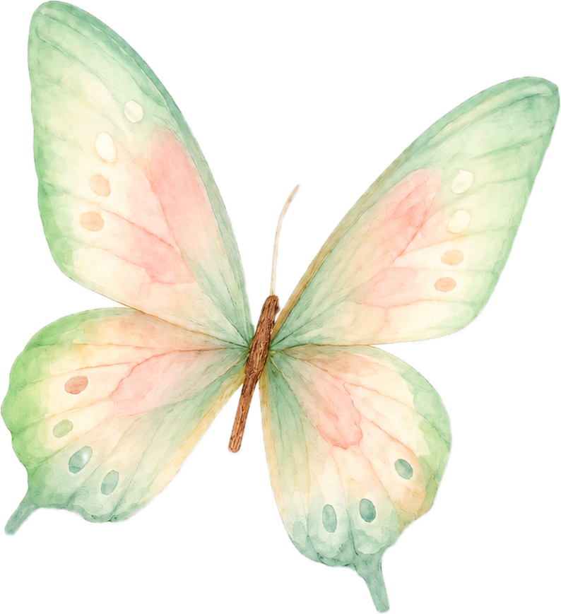 蝴蝶翅膀下